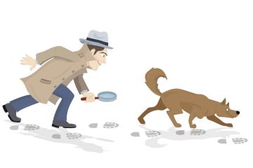 ДЕТЕКТИВ ИДЕТ ПО СЛЕДУ
