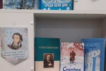 СНЕЖНАЯ СТИХИЯ